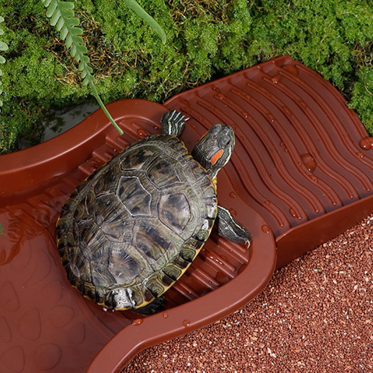 Piscine Tortue Terrestre Mangeoire, Plat d'eau Bassin pour Tortue de Piscine avec Rampe, Bol d'eau pour Reptiles avec Échelle, Bassin de Douche pour Terrasse (A)