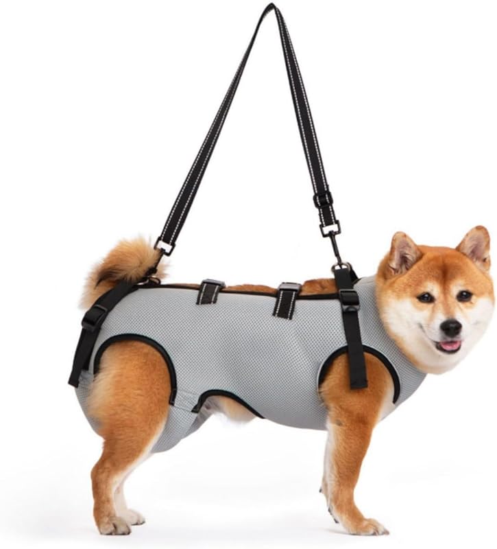 GIIPET-Dog Careハーネス Summer Ventilation Dog For nursing careハーネス Walking aid Old Dog けが Nursing Supplies Easy to put on and take off Old Dog/Blame me/surgery/Recovering quickly/Illness Medium-sized dog Small Dog Care Clothing Foot Obstacle リハビリ Take a walk