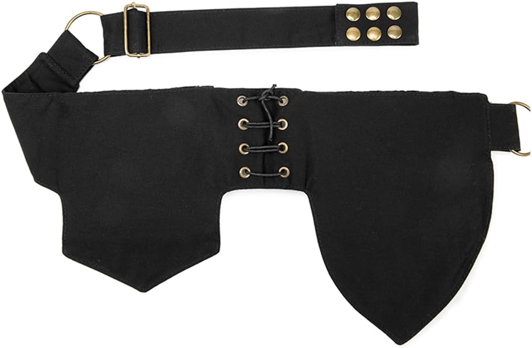 Larswon Renaissance Bag Leg Pouch for Women Renaissance Belt Festival Hip Thigh Pack