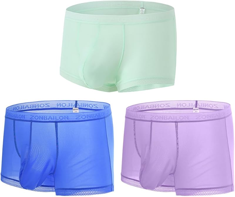 Men's Sexy Underwear Ice Silk Sheer Boxer Briefs See Through Mesh Ultra Thin Transparent Trunk