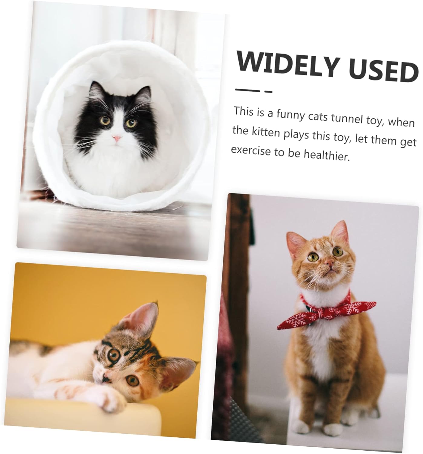 NOLITOY Catトンネルおもちゃ Kittenのトンネルのおもちゃ. For indoor catsのCatトンネル CatのトンネルIndoor Foldりmatまれた CatインタラクティブIndoor Cat for Catsトンネル Catのチューブ Steel Wire