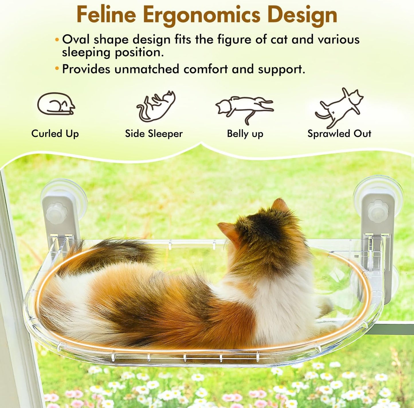 AMOSIJOY Transparent Cat Window Perch, Easy to Install & Clean Cat Hammock with 4 Enlarged Suction Cups for Large Cats, Panoramic Space Capsule Window Seat with Cozy Furry Mat