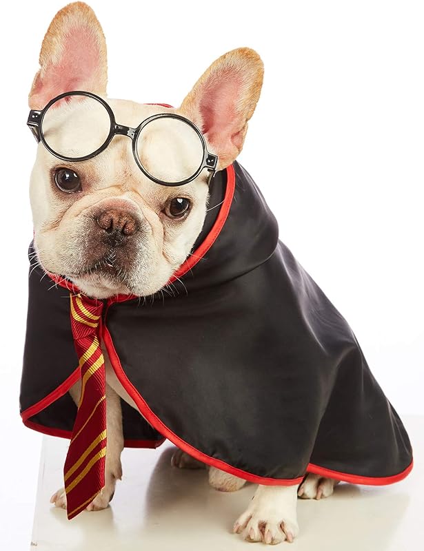 Pet Halloween Dog Shirts Funny Cat Wizard Costume Cute Apparel Soft Clothes with Glasses (Large,Neck:18")