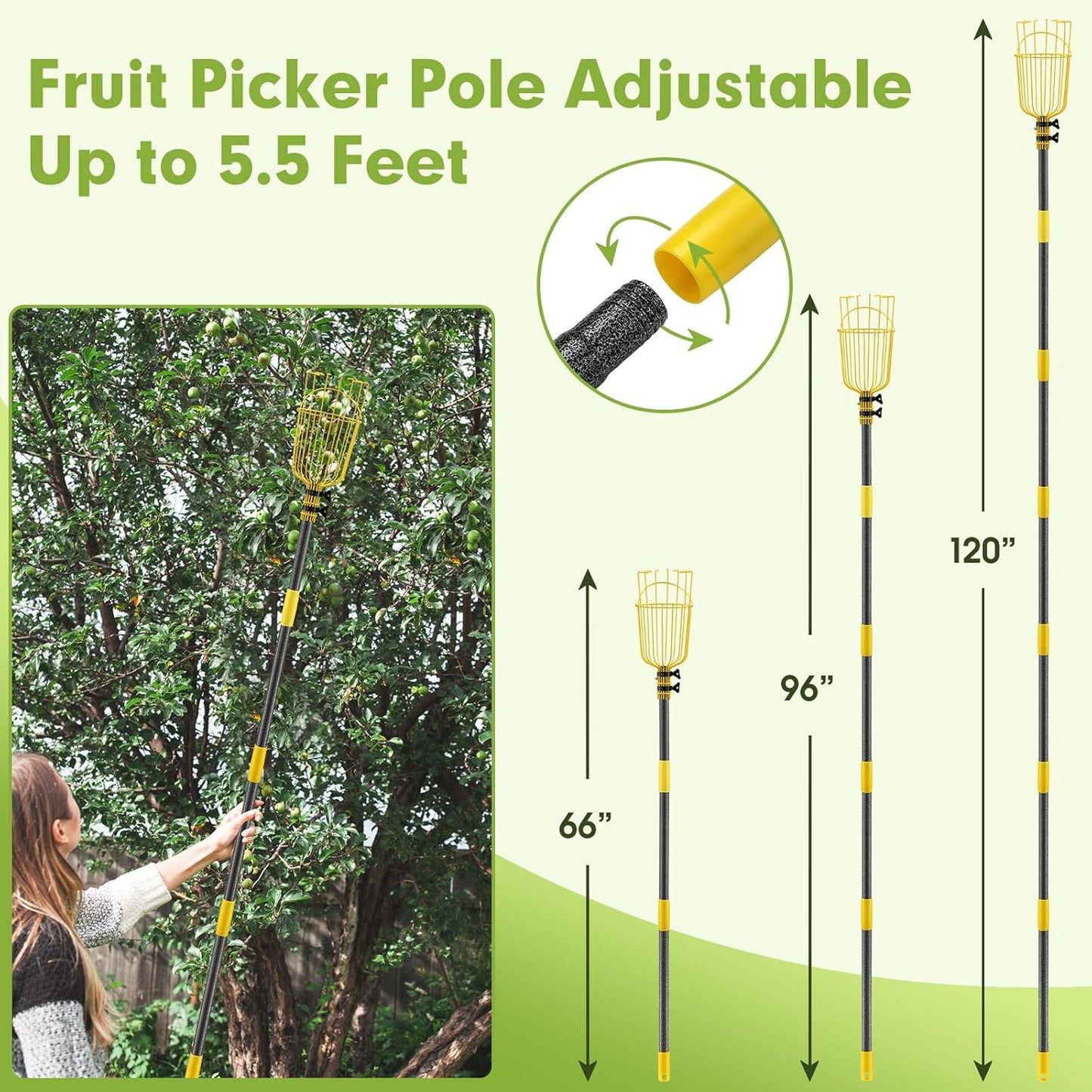 Fruit Picker Tool,Apple Picker Pole with Basket,5.5 FT Adjustable Fruit Picker Pole with Basket Telescoping,Sturdy Basket with Foam Pad for Picking Avocado Acorn Lemon Pear Mango……