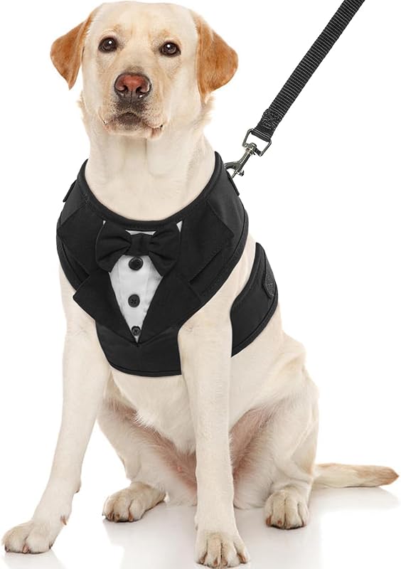 Kuoser Tuxedo Dog Harness, Adjustable No Pull for Small Medium Dogs, Wedding Suit with Bow Tie Party Costume, Gray XS