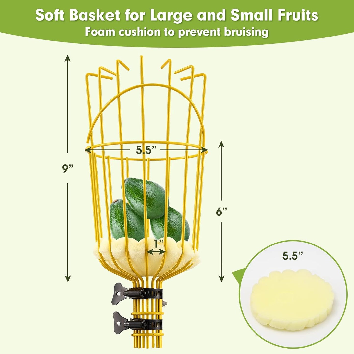 Fruit Picker Tool,Apple Picker Pole with Basket,5.5 FT Adjustable Fruit Picker Pole with Basket Telescoping,Sturdy Basket with Foam Pad for Picking Avocado Acorn Lemon Pear Mango……