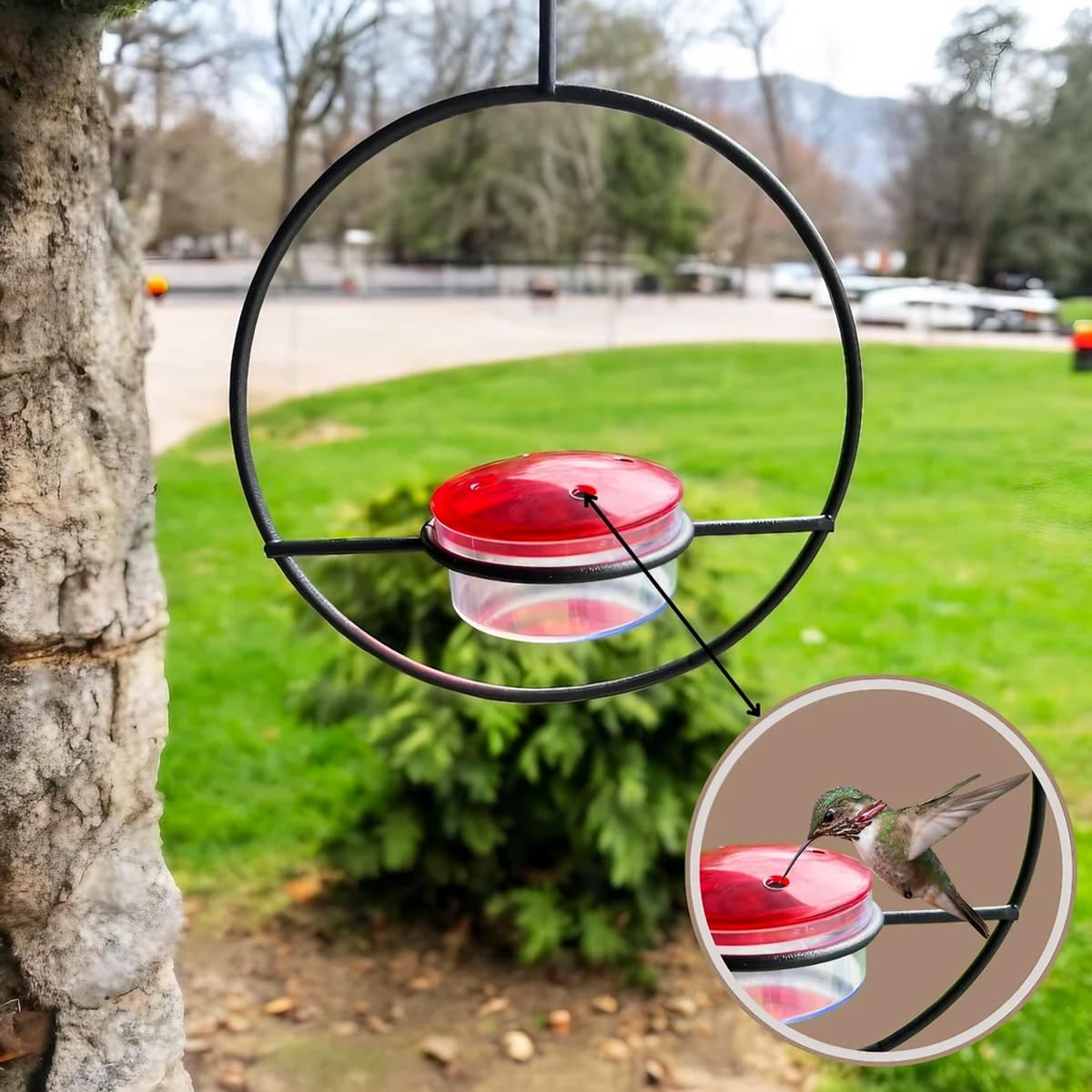 2025 New Hummingbird Feeder, 4PCS Circular Hanging Ant & Bee-Proof Hummingbird Feeders for Outdoor Garden, Patio, Backyard - Leak-Proof, Easy to Clean and Refill