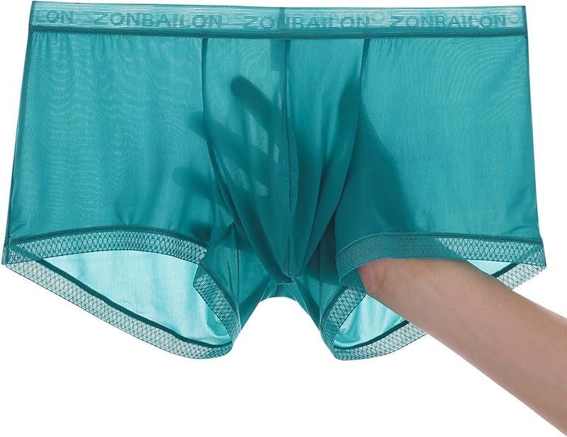 Men's Sexy Underwear Ice Silk Sheer Boxer Briefs See Through Mesh Ultra Thin Transparent Trunk