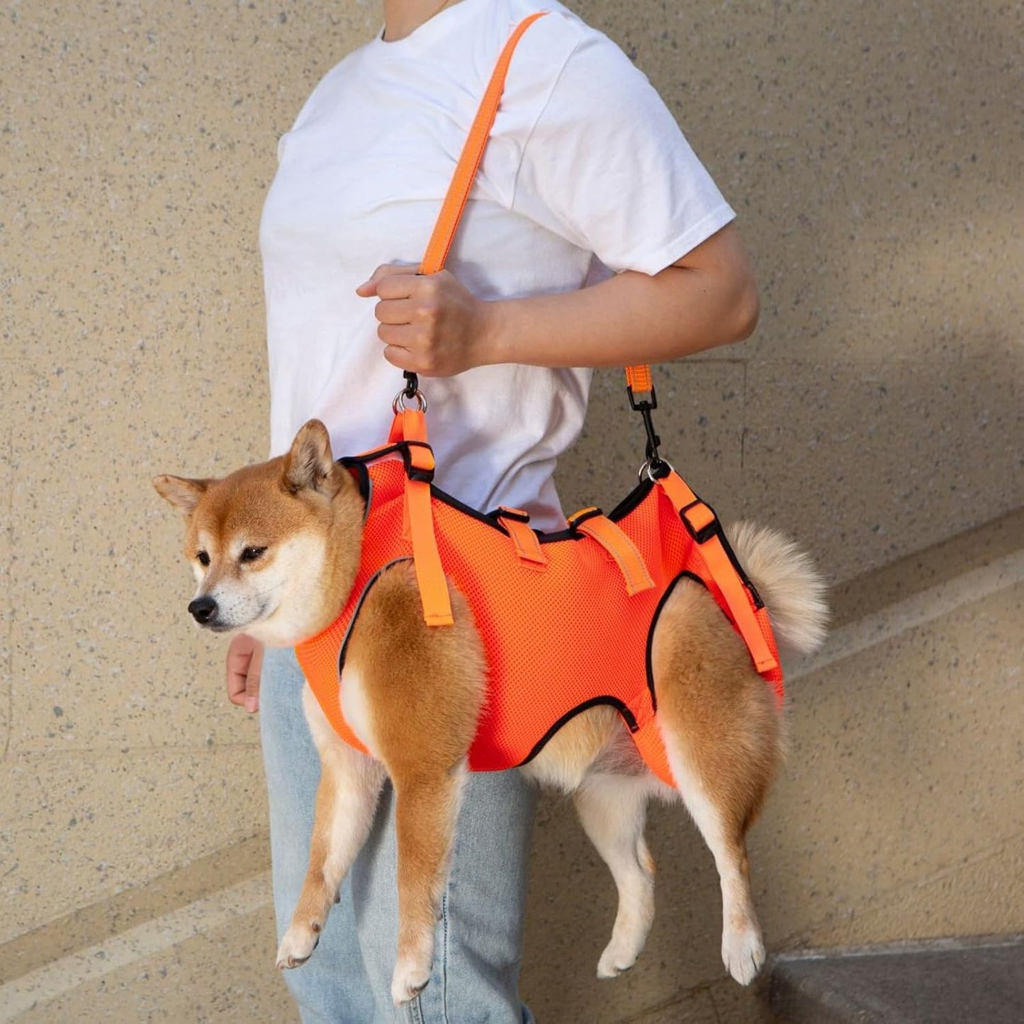 GIIPET-Dog Careハーネス Summer Ventilation Dog For nursing careハーネス Walking aid Old Dog けが Nursing Supplies Easy to put on and take off Old Dog/Blame me/surgery/Recovering quickly/Illness Medium-sized dog Small Dog Care Clothing Foot Obstacle リハビリ Take a walk