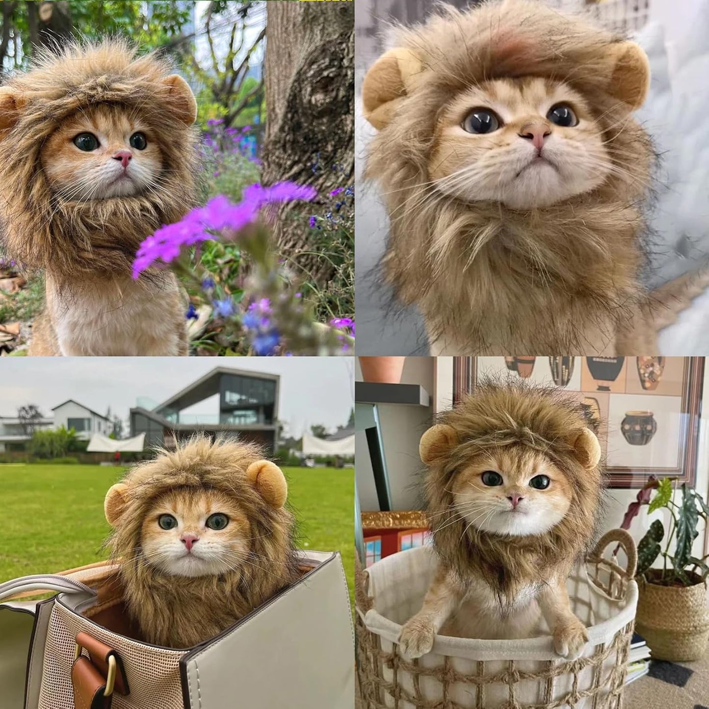 Cat Lion Mane Halloween Costume for Small Cats & Puppy– Pet Costume for Halloween, Cat Birthday, Cat Cosplay, Cat Outfits, Pet Clothes (Grey)