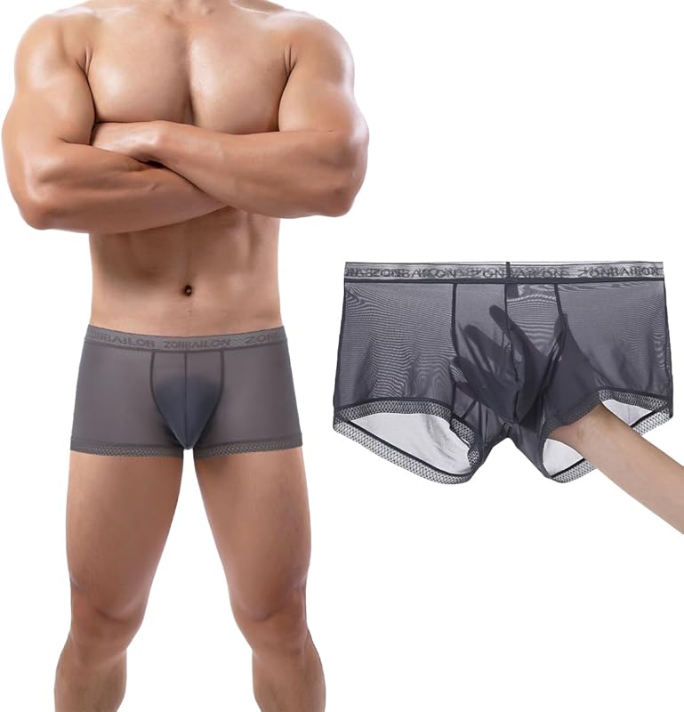 Men's Sexy Underwear Ice Silk Sheer Boxer Briefs See Through Mesh Ultra Thin Transparent Trunk