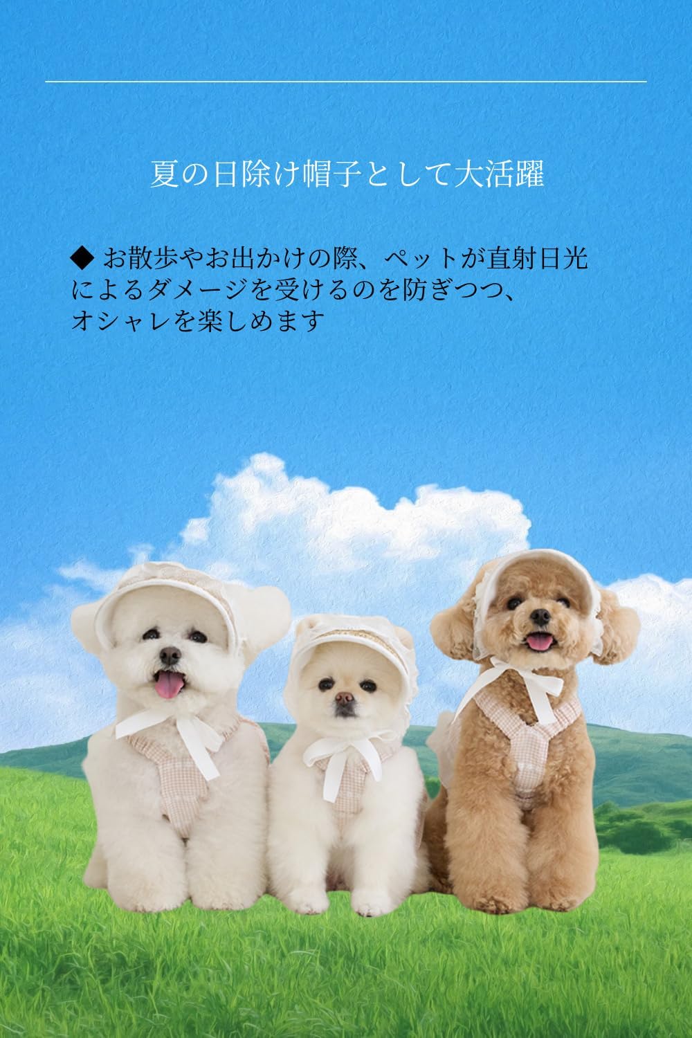 YFFSFDC Dog Cat Hat Summer ペット WheatわらHat SunburnけStopめHat Dog サンバイザー コスプレUV protection ドックウェア Sea おoutかけ Take a walk (S)
