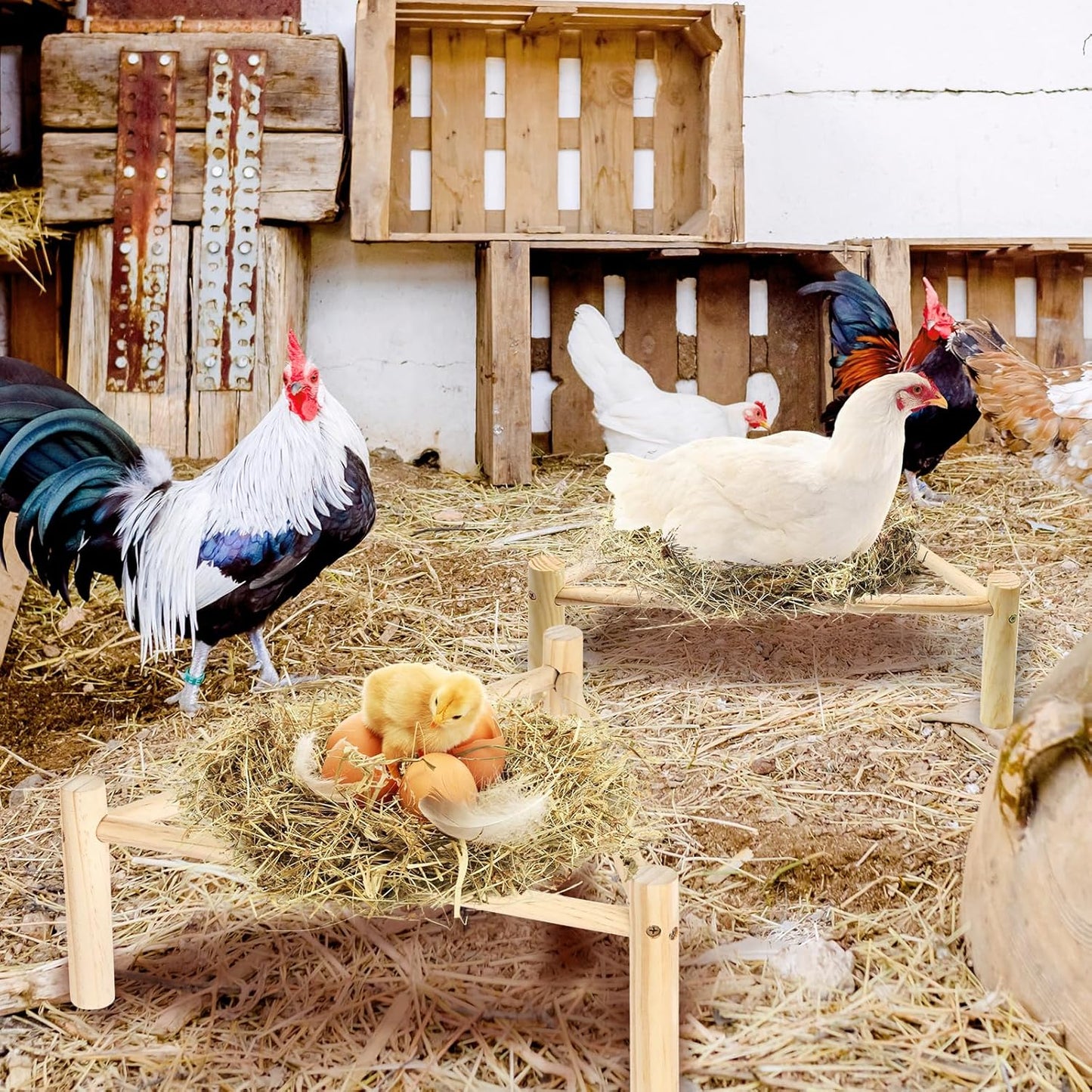 Chicken Perch for Coop & Brooder, Pine Wooden Chicken Toys & Coop Accessories for Chicken Triangular Gym Roosting Bar for Large Hens Parrots Birds, Natural Poultry Stand Chicken Nesting Support - 2P