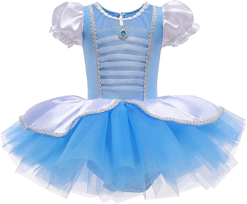 HIHCBF Princess Girls Leotards Ballet Dance Skirted Tutus Short Sleeve Dancewear Halloween Christmas Party Fancy Dress