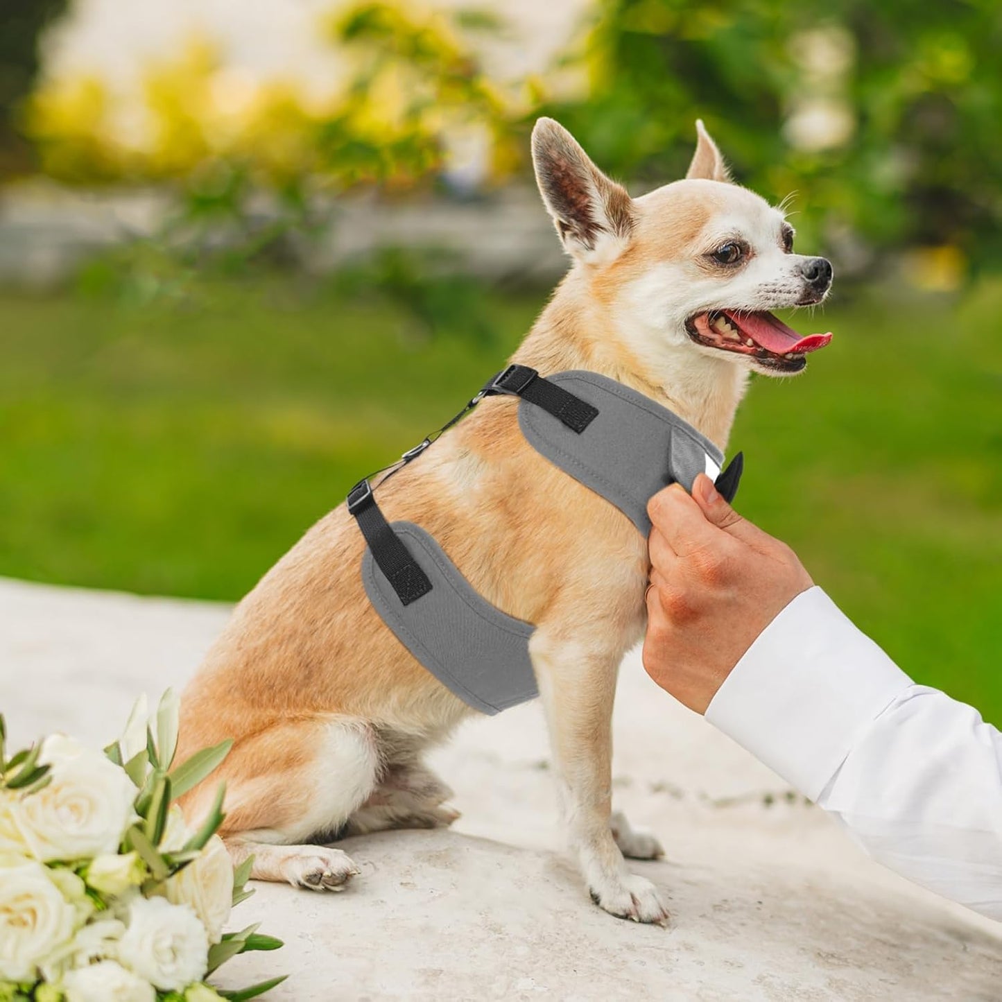 Kuoser Tuxedo Dog Harness, Adjustable No Pull for Small Medium Dogs, Wedding Suit with Bow Tie Party Costume, Gray XS