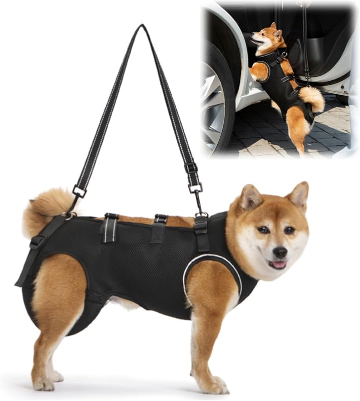 GIIPET-Dog Careハーネス Summer Ventilation Dog For nursing careハーネス Walking aid Old Dog けが Nursing Supplies Easy to put on and take off Old Dog/Blame me/surgery/Recovering quickly/Illness Medium-sized dog Small Dog Care Clothing Foot Obstacle リハビリ Take a walk