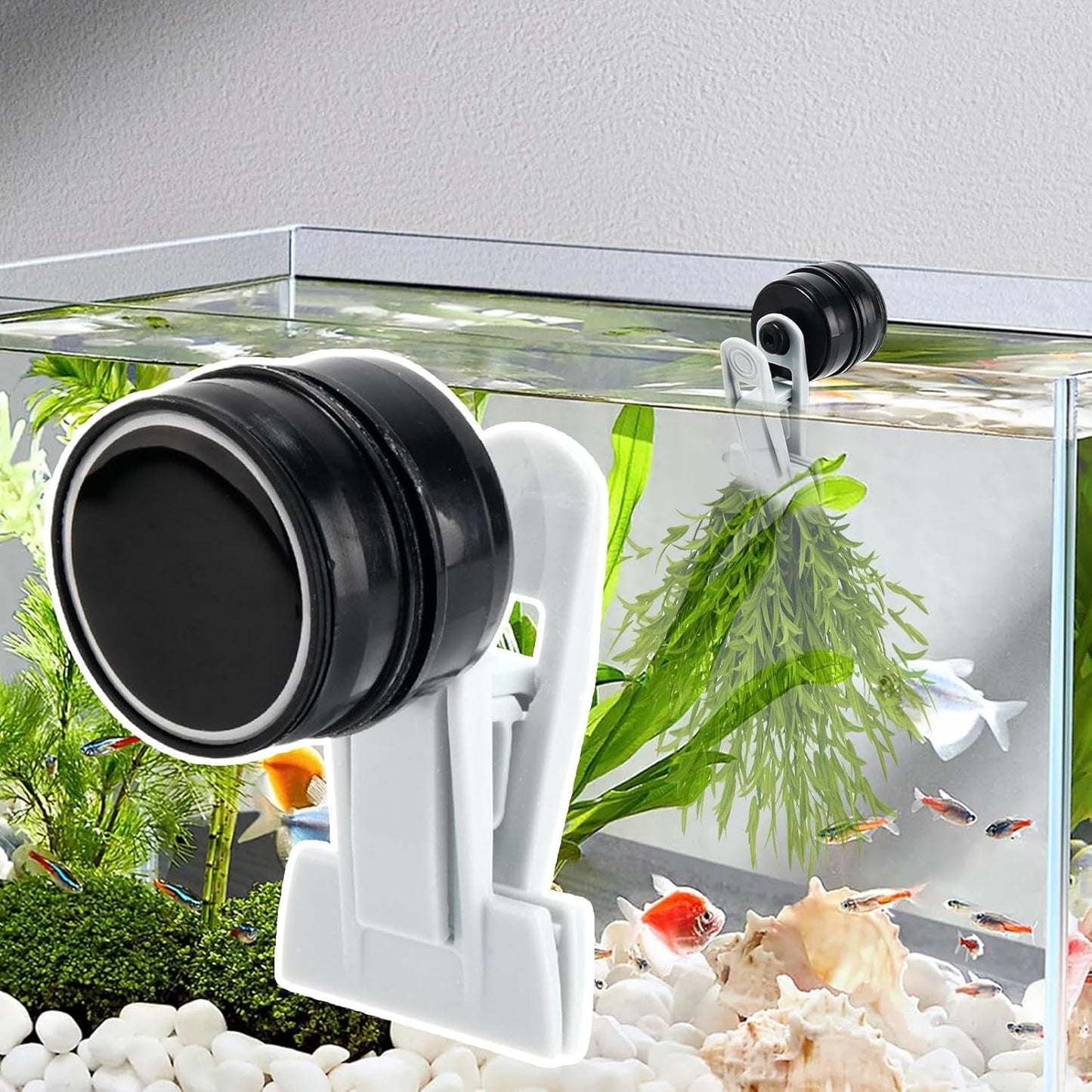 Pince à algues, mangeoire magnétique pour aquarium, support de nourriture automatique compact, tortue Betta, crevettes, outil d'alimentation polyvalent en eau salée et eau douce pour entretien