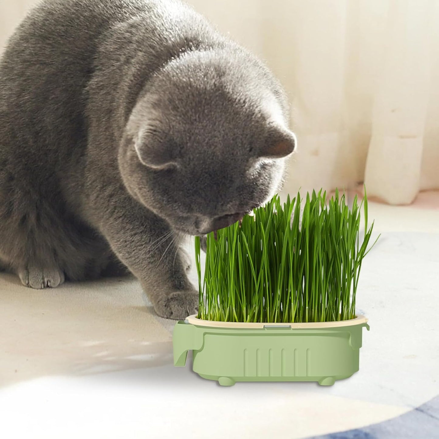 Hydroponic Cat Grass Pot | Indoor Cat Grass Hydroponic Planting Pot - Beginners-Friendly Novelty Pet Snacks Soil-Less Watering Solution for Garden, Balcony