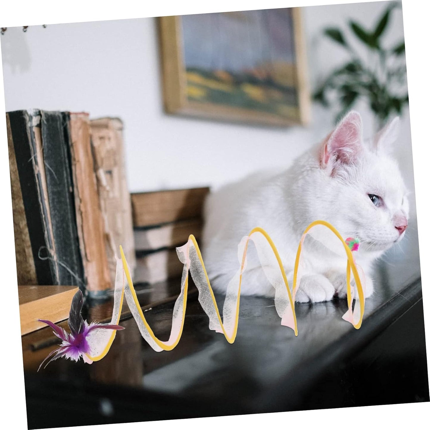 NOLITOY Catトンネルおもちゃ Kittenのトンネルのおもちゃ. For indoor catsのCatトンネル CatのトンネルIndoor Foldりmatまれた CatインタラクティブIndoor Cat for Catsトンネル Catのチューブ Steel Wire