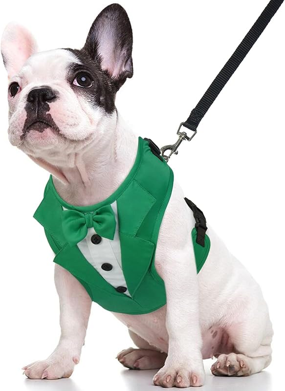 Kuoser Tuxedo Dog Harness, Adjustable No Pull for Small Medium Dogs, Wedding Suit with Bow Tie Party Costume, Gray XS