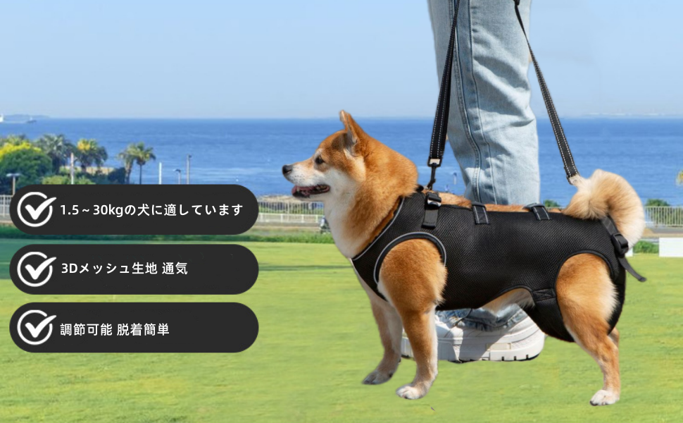 GIIPET-Dog Careハーネス Summer Ventilation Dog For nursing careハーネス Walking aid Old Dog けが Nursing Supplies Easy to put on and take off Old Dog/Blame me/surgery/Recovering quickly/Illness Medium-sized dog Small Dog Care Clothing Foot Obstacle リハビリ Take a walk