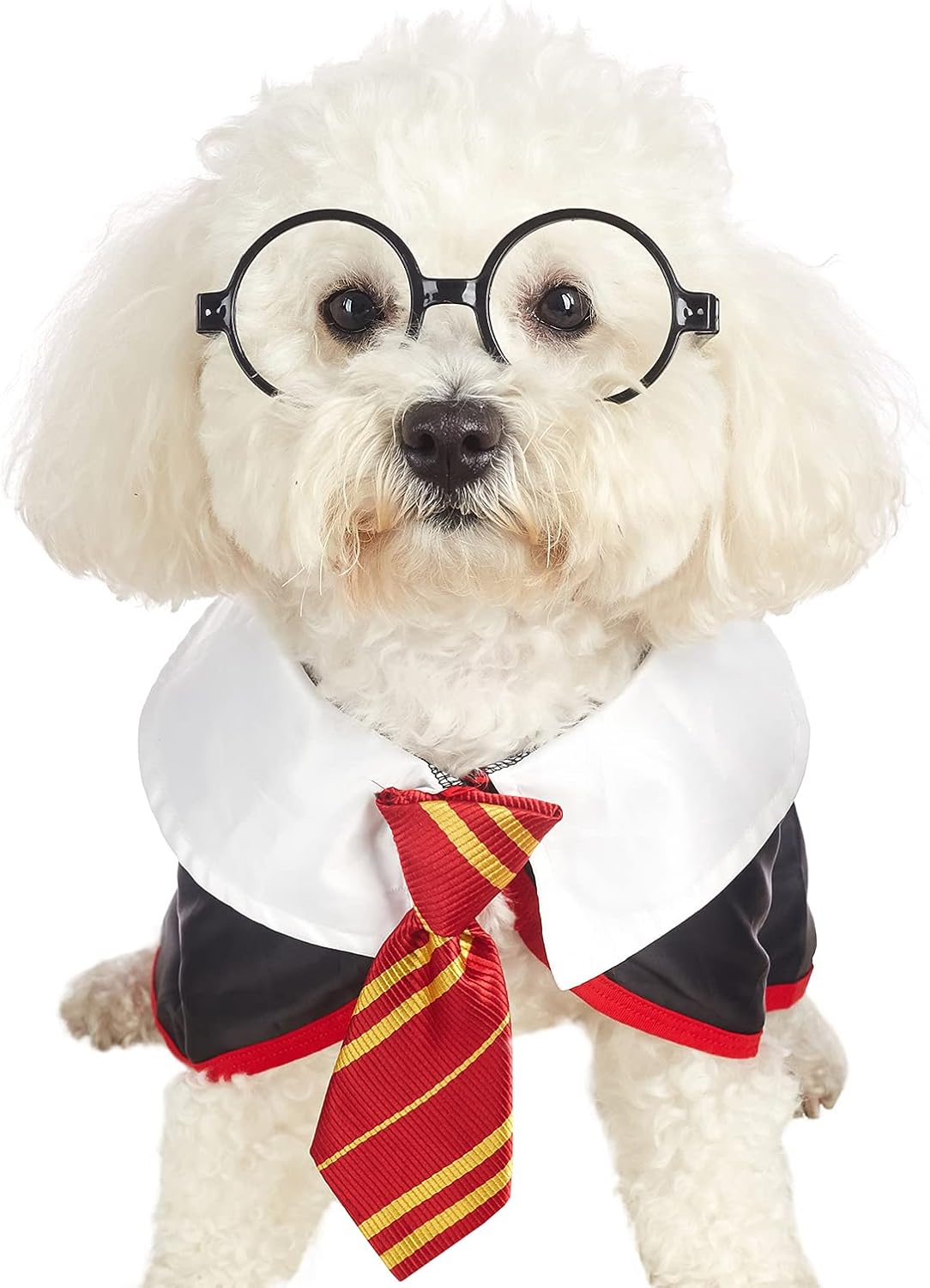 Pet Halloween Dog Shirts Funny Cat Wizard Costume Cute Apparel Soft Clothes with Glasses (Large,Neck:18")