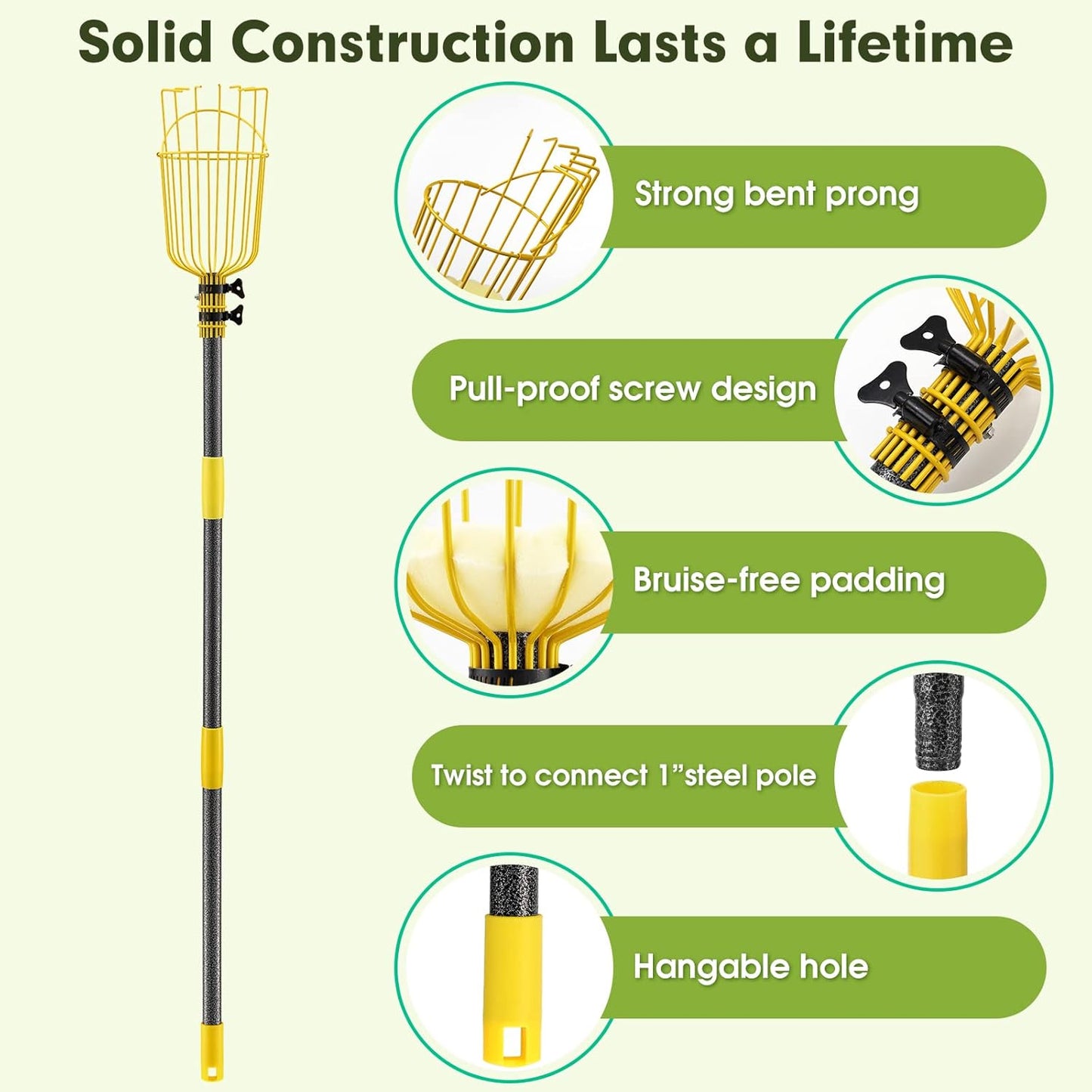 Fruit Picker Tool,Apple Picker Pole with Basket,5.5 FT Adjustable Fruit Picker Pole with Basket Telescoping,Sturdy Basket with Foam Pad for Picking Avocado Acorn Lemon Pear Mango……