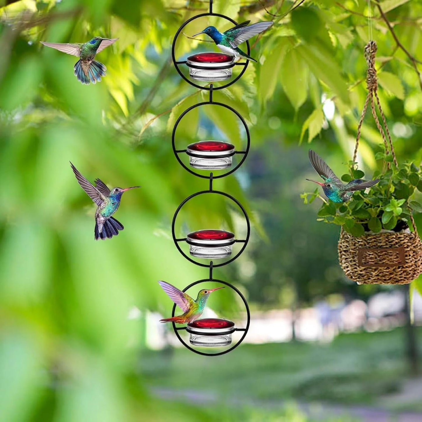 2025 New Hummingbird Feeder, 4PCS Circular Hanging Ant & Bee-Proof Hummingbird Feeders for Outdoor Garden, Patio, Backyard - Leak-Proof, Easy to Clean and Refill