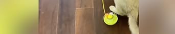Interactive Cat Feather Toys, 2025 Upgraded Interactive Cat Toys for Indoor Cats, Teaser Catnip Toy for Kitten Cats (Yellow)