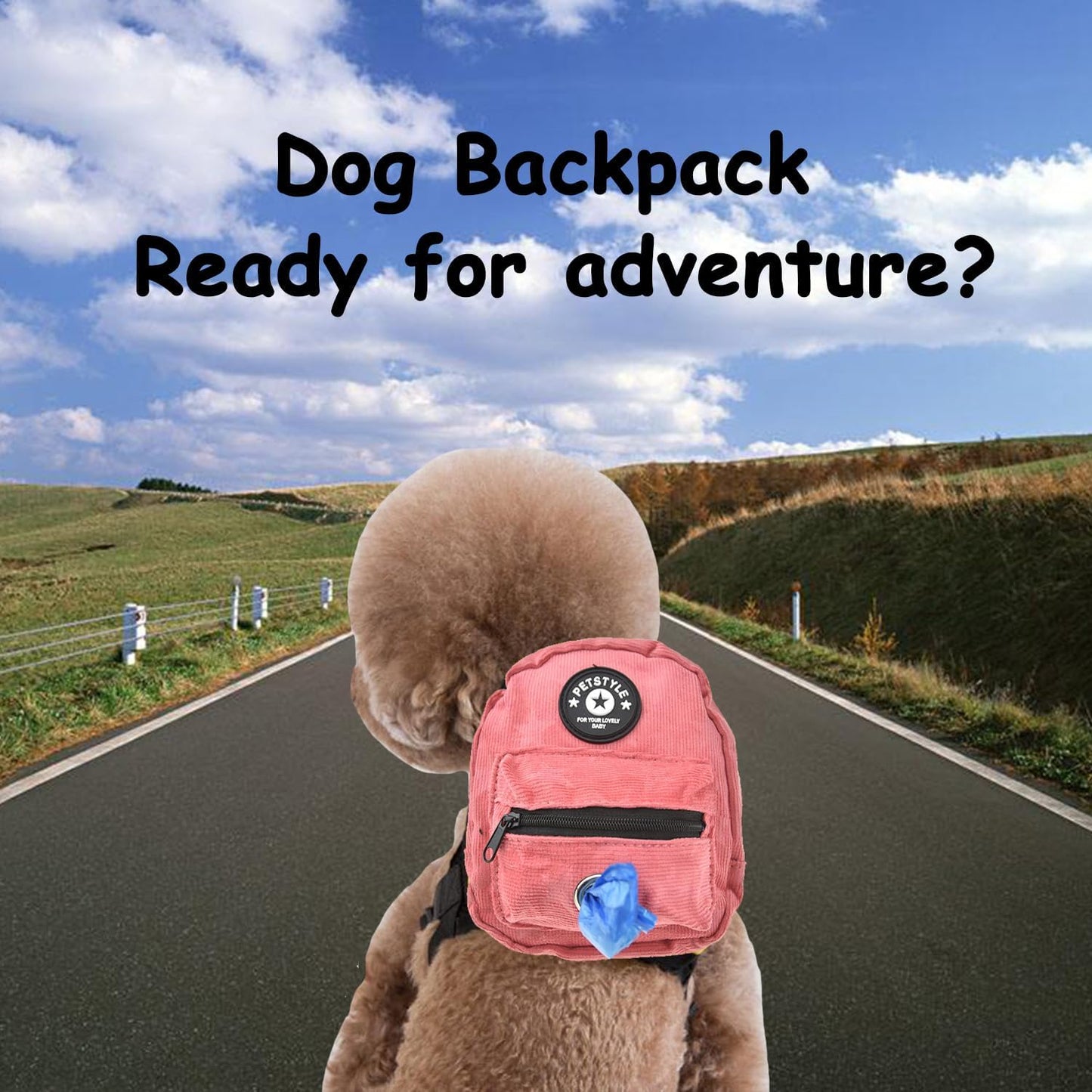 FLAdorepet Dog Backpack Harness with Leash, Dog Poop Bag Dispenser, Pet Self Carrier Adjustable Travel Hiking Walking Harness Backpack for Small Medium Dogs (L(Fit:10-15lb), Pink)