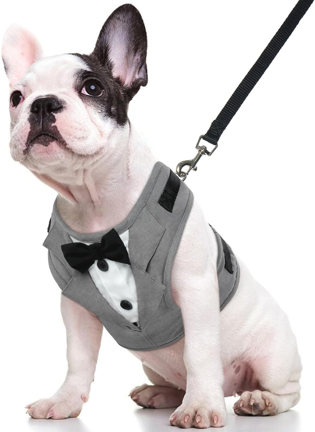 Kuoser Tuxedo Dog Harness, Adjustable No Pull for Small Medium Dogs, Wedding Suit with Bow Tie Party Costume, Gray XS