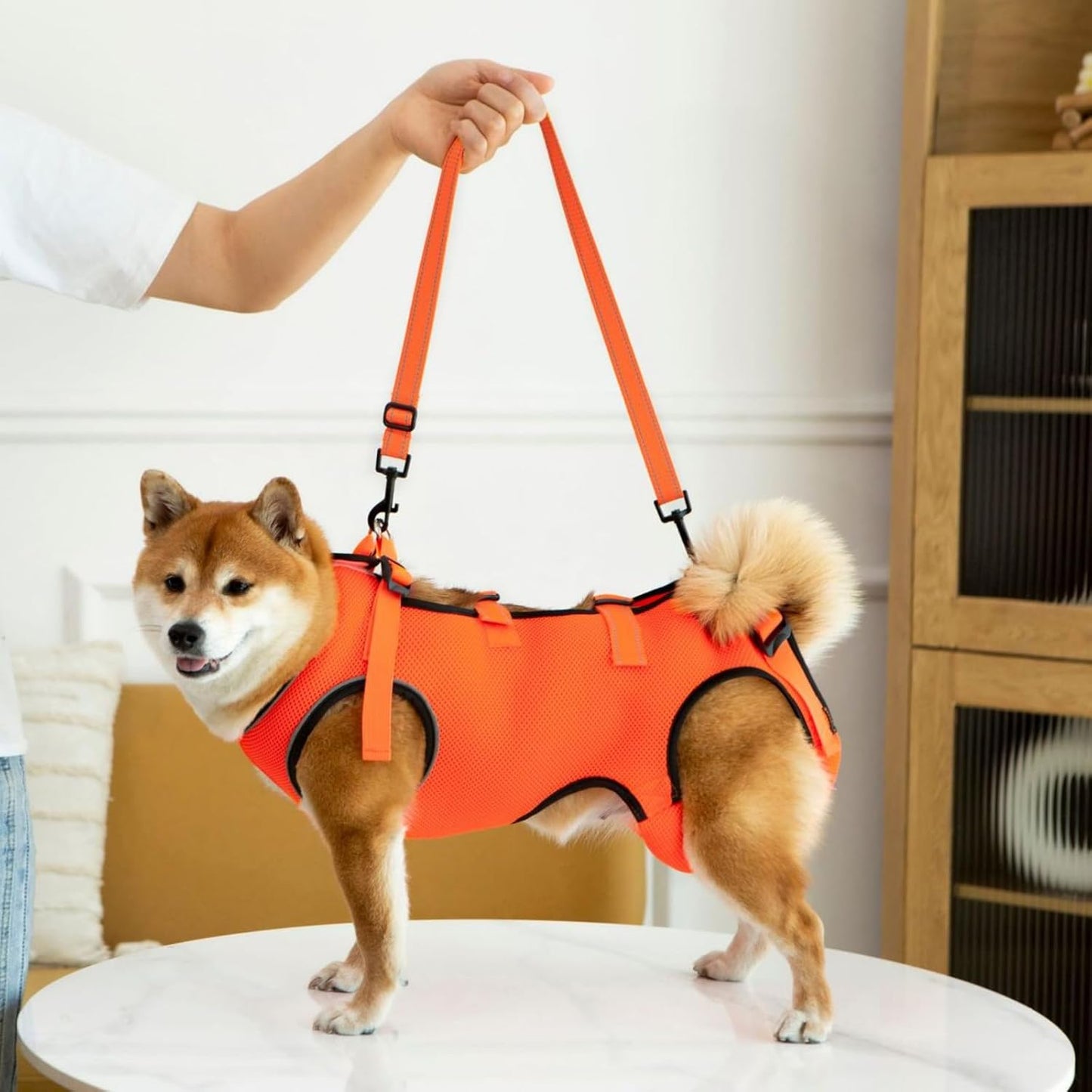 GIIPET-Dog Careハーネス Summer Ventilation Dog For nursing careハーネス Walking aid Old Dog けが Nursing Supplies Easy to put on and take off Old Dog/Blame me/surgery/Recovering quickly/Illness Medium-sized dog Small Dog Care Clothing Foot Obstacle リハビリ Take a walk
