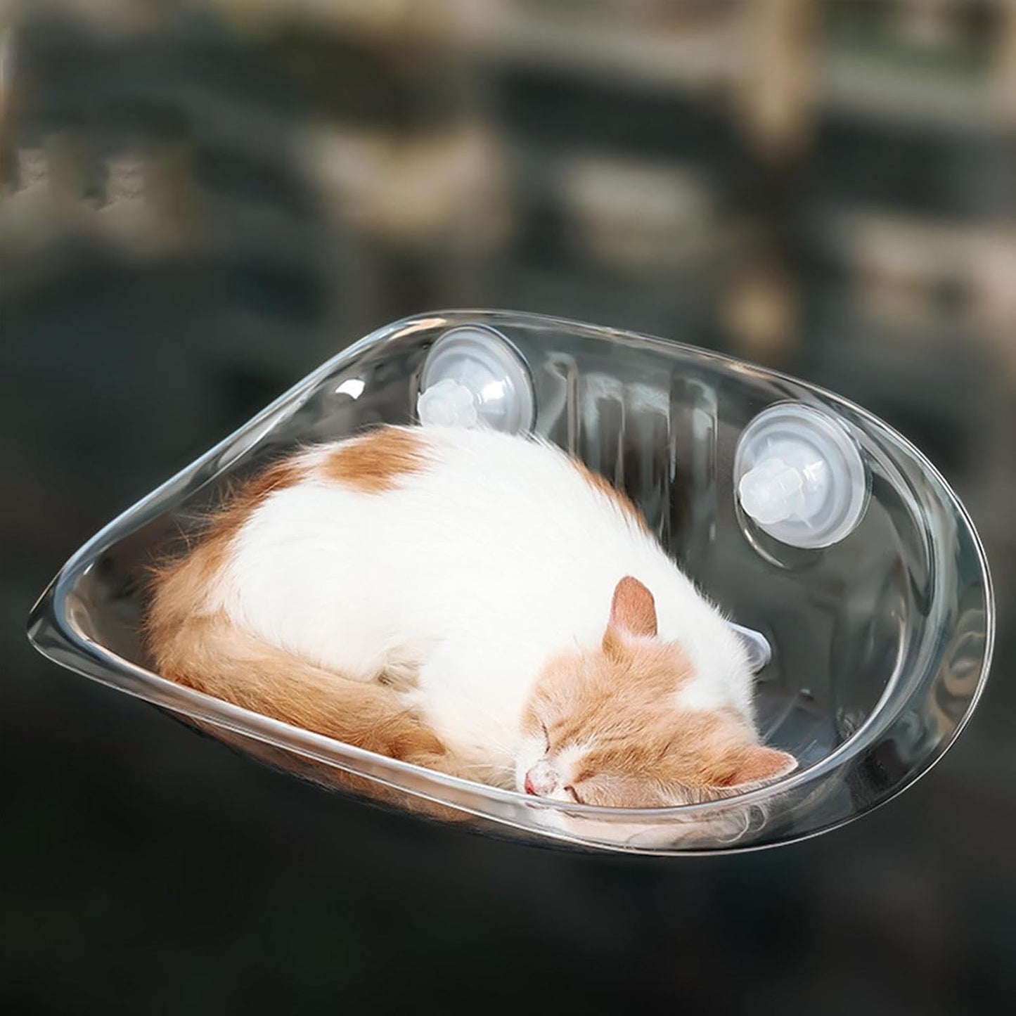 ウォールキャットベッドFurniture - クリアアクリルCatハンモック、FloatingかぶWallにTakeりPayけられたKittenのStopまり|SleepているCatのためのAttractionカップRest and SleepてDengる、IndoorのPlayびVenueのペットラウンジャーShed