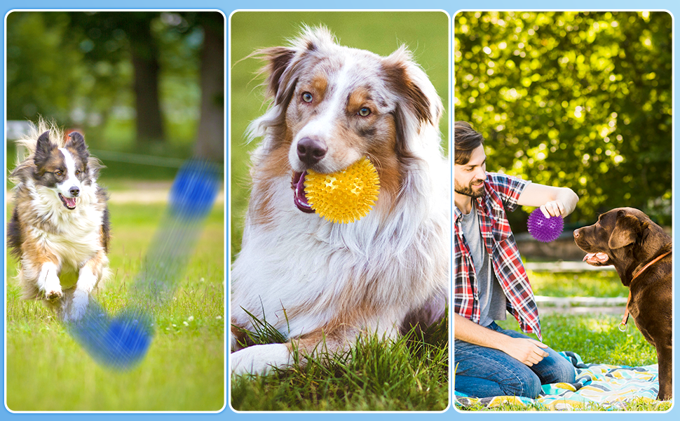 4-Pack Large Squeaky Dog Balls, 4.5" Rubber Spiky Dog Balls for Large Medium Aggressive Chewers Teeth Cleaning, Chew Toy for Training & Boredom Buster