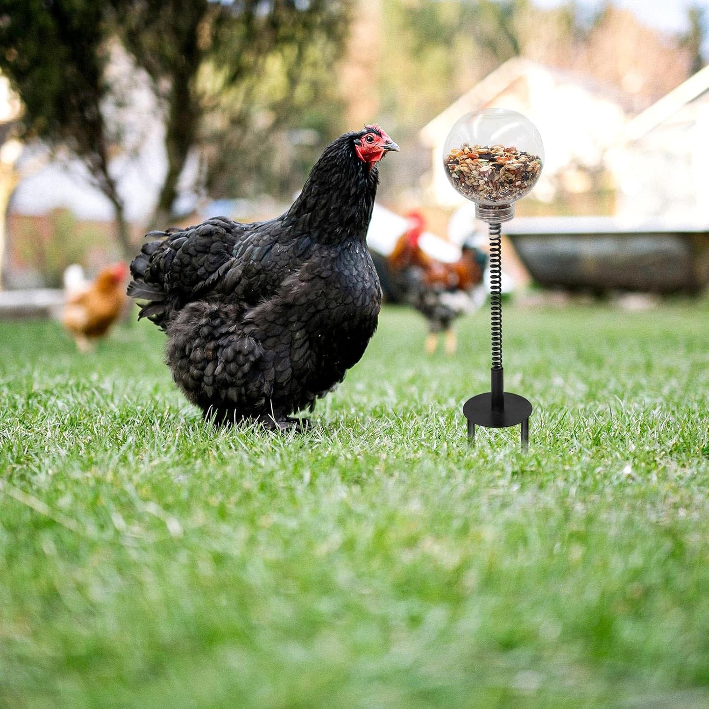 Oooct 2 Pack Chicken Peck Toys, Chicken Enrichment Toys, Chicken Swing Feeder, Chick Slow Feeder Toy, Chicken Coop Toys for Hens Poultry Duck Birds Parrots, Transparent