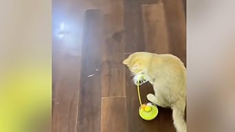 Interactive Cat Feather Toys, 2025 Upgraded Interactive Cat Toys for Indoor Cats, Teaser Catnip Toy for Kitten Cats (Yellow)