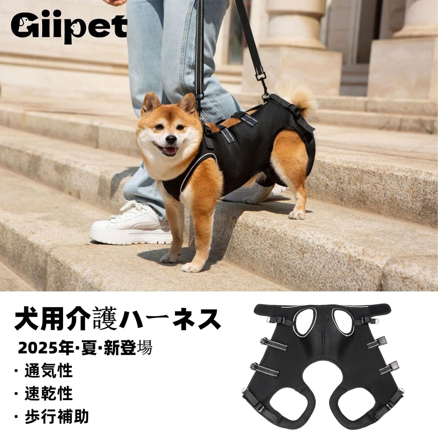 GIIPET-Dog Careハーネス Summer Ventilation Dog For nursing careハーネス Walking aid Old Dog けが Nursing Supplies Easy to put on and take off Old Dog/Blame me/surgery/Recovering quickly/Illness Medium-sized dog Small Dog Care Clothing Foot Obstacle リハビリ Take a walk