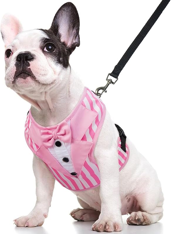 Kuoser Tuxedo Dog Harness, Adjustable No Pull for Small Medium Dogs, Wedding Suit with Bow Tie Party Costume, Gray XS