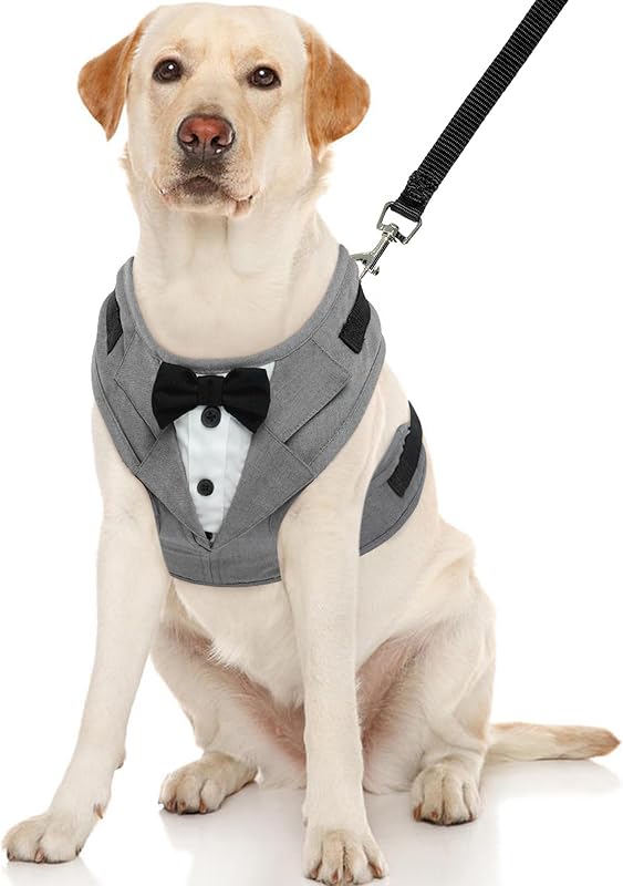 Kuoser Tuxedo Dog Harness, Adjustable No Pull for Small Medium Dogs, Wedding Suit with Bow Tie Party Costume, Gray XS