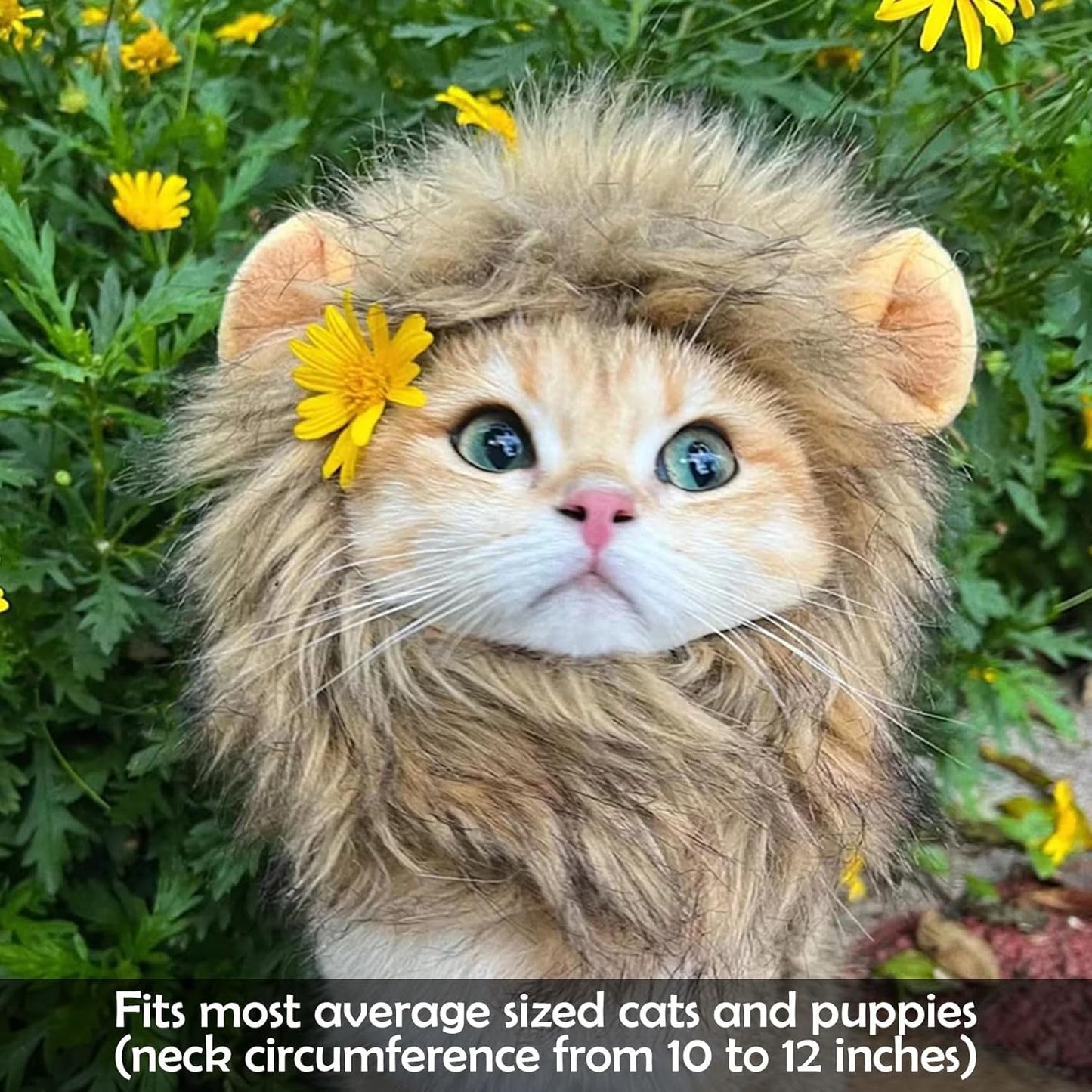 Cat Lion Mane Halloween Costume for Small Cats & Puppy– Pet Costume for Halloween, Cat Birthday, Cat Cosplay, Cat Outfits, Pet Clothes (Grey)