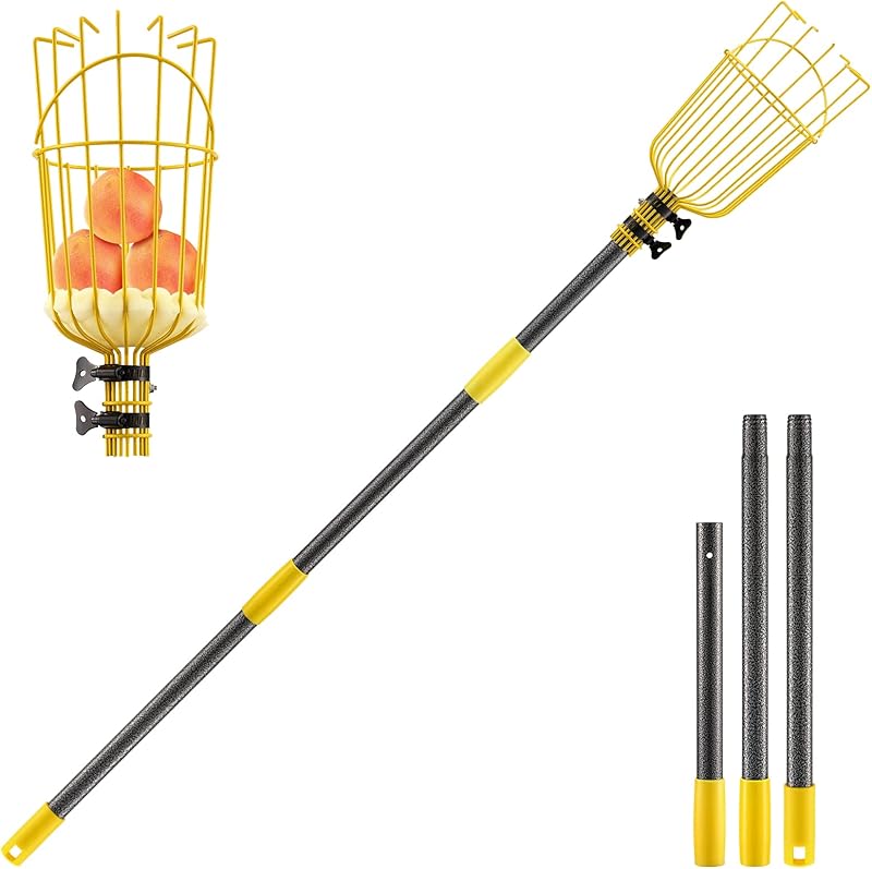 Fruit Picker Tool,Apple Picker Pole with Basket,5.5 FT Adjustable Fruit Picker Pole with Basket Telescoping,Sturdy Basket with Foam Pad for Picking Avocado Acorn Lemon Pear Mango……