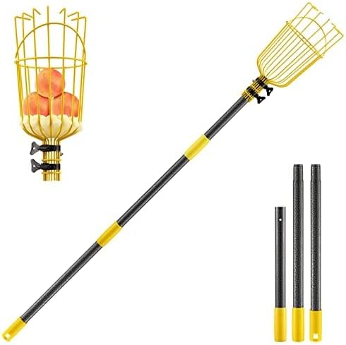 Fruit Picker Tool,Apple Picker Pole with Basket,5.5 FT Adjustable Fruit Picker Pole with Basket Telescoping,Sturdy Basket with Foam Pad for Picking Avocado Acorn Lemon Pear Mango……