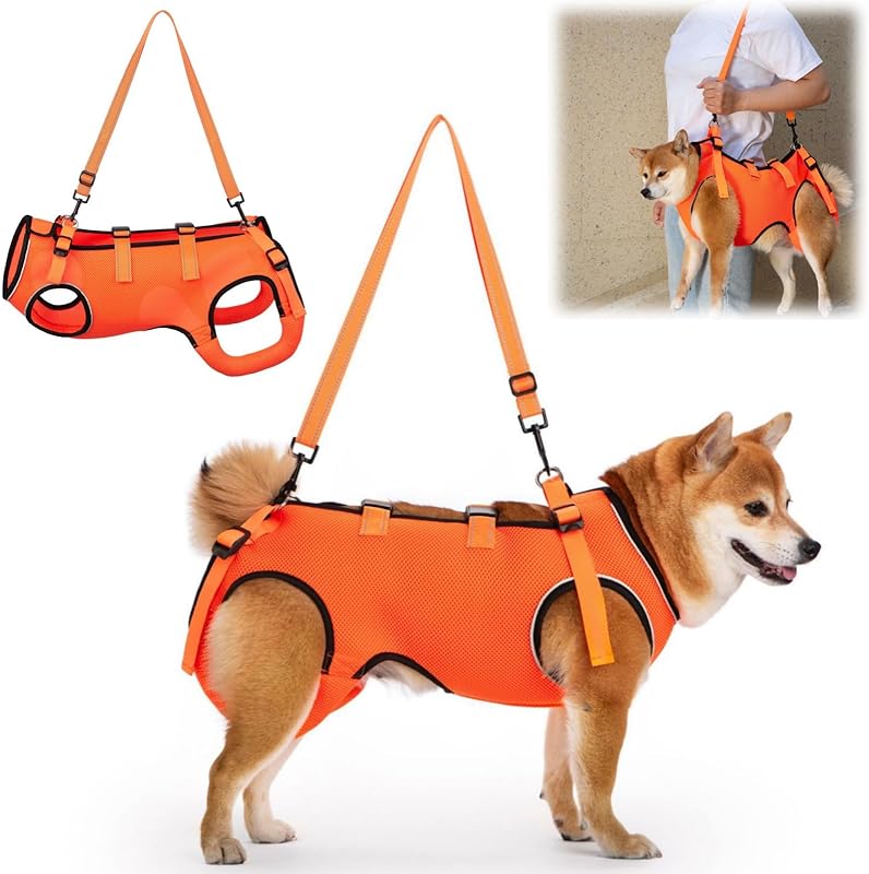 GIIPET-Dog Careハーネス Summer Ventilation Dog For nursing careハーネス Walking aid Old Dog けが Nursing Supplies Easy to put on and take off Old Dog/Blame me/surgery/Recovering quickly/Illness Medium-sized dog Small Dog Care Clothing Foot Obstacle リハビリ Take a walk