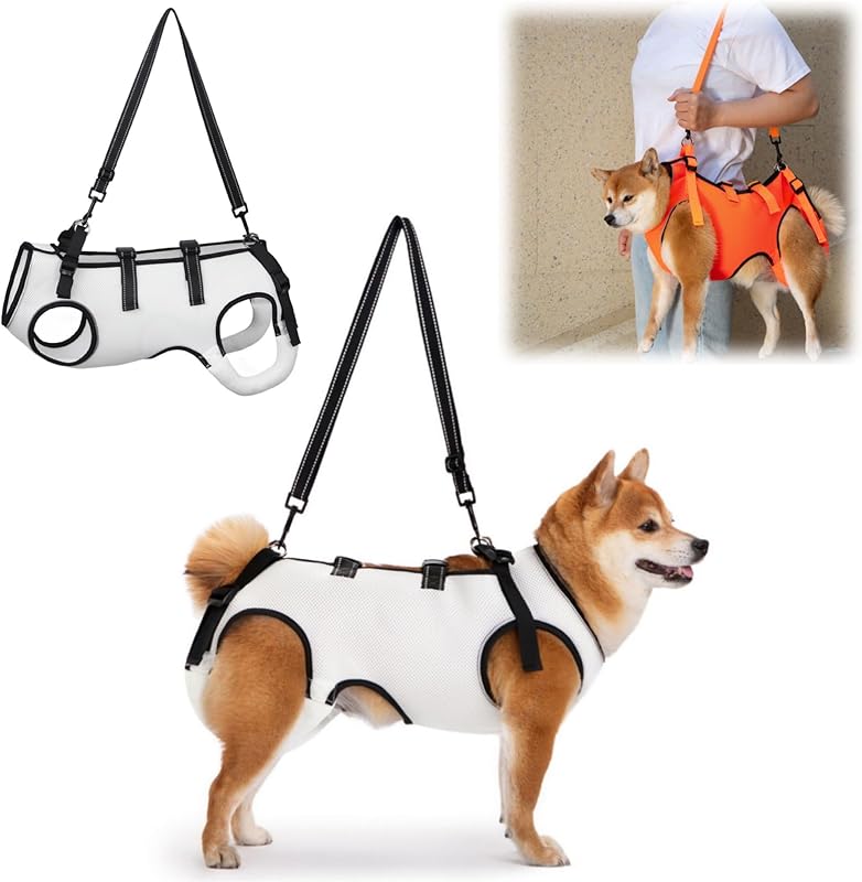 GIIPET-Dog Careハーネス Summer Ventilation Dog For nursing careハーネス Walking aid Old Dog けが Nursing Supplies Easy to put on and take off Old Dog/Blame me/surgery/Recovering quickly/Illness Medium-sized dog Small Dog Care Clothing Foot Obstacle リハビリ Take a walk
