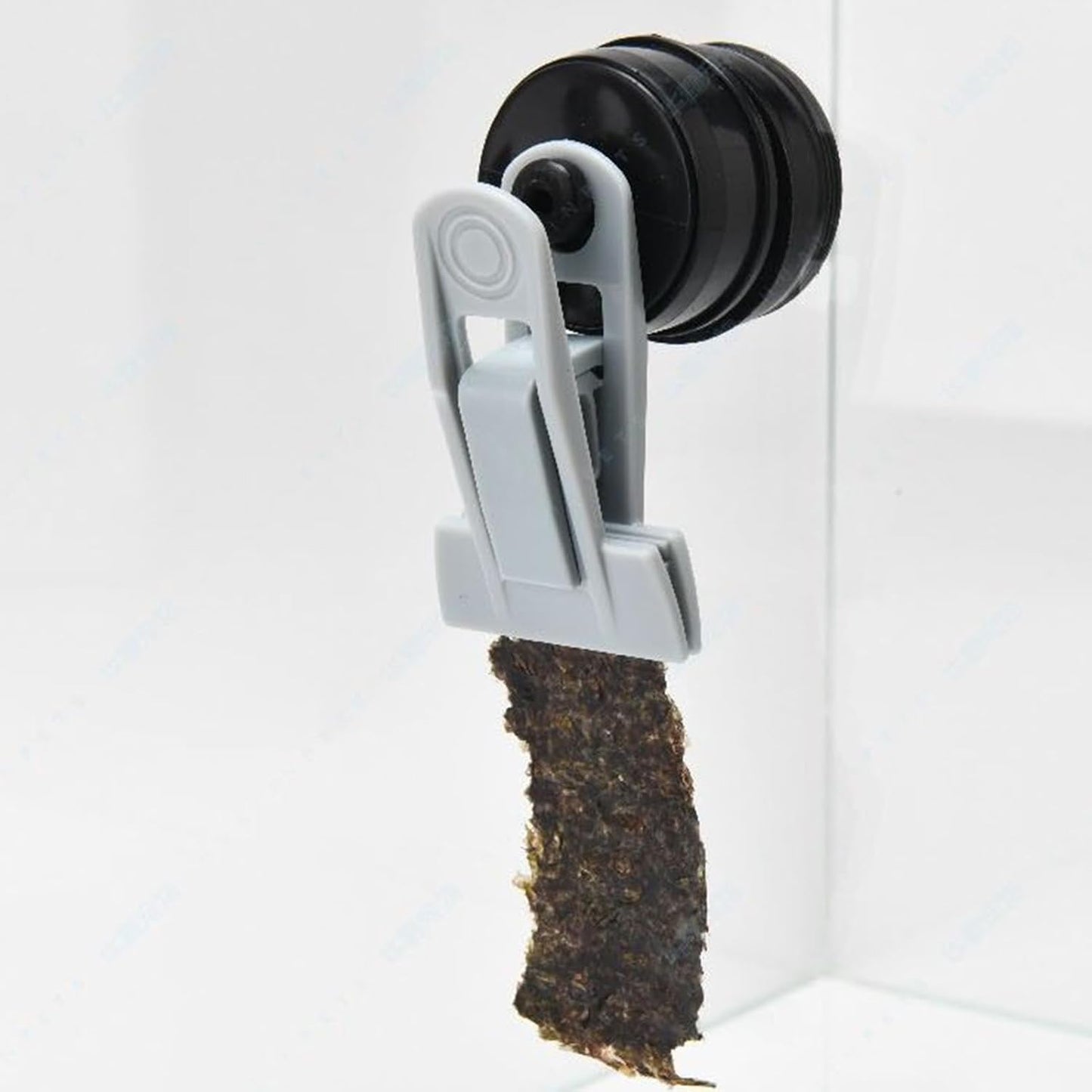 Pince à algues, mangeoire magnétique pour aquarium, support de nourriture automatique compact, tortue Betta, crevettes, outil d'alimentation polyvalent en eau salée et eau douce pour entretien