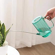 Long Spout Watering Can Indoor, Small Watering Cans for House Plants, Flowers, Succulents 33.8oz(Green)