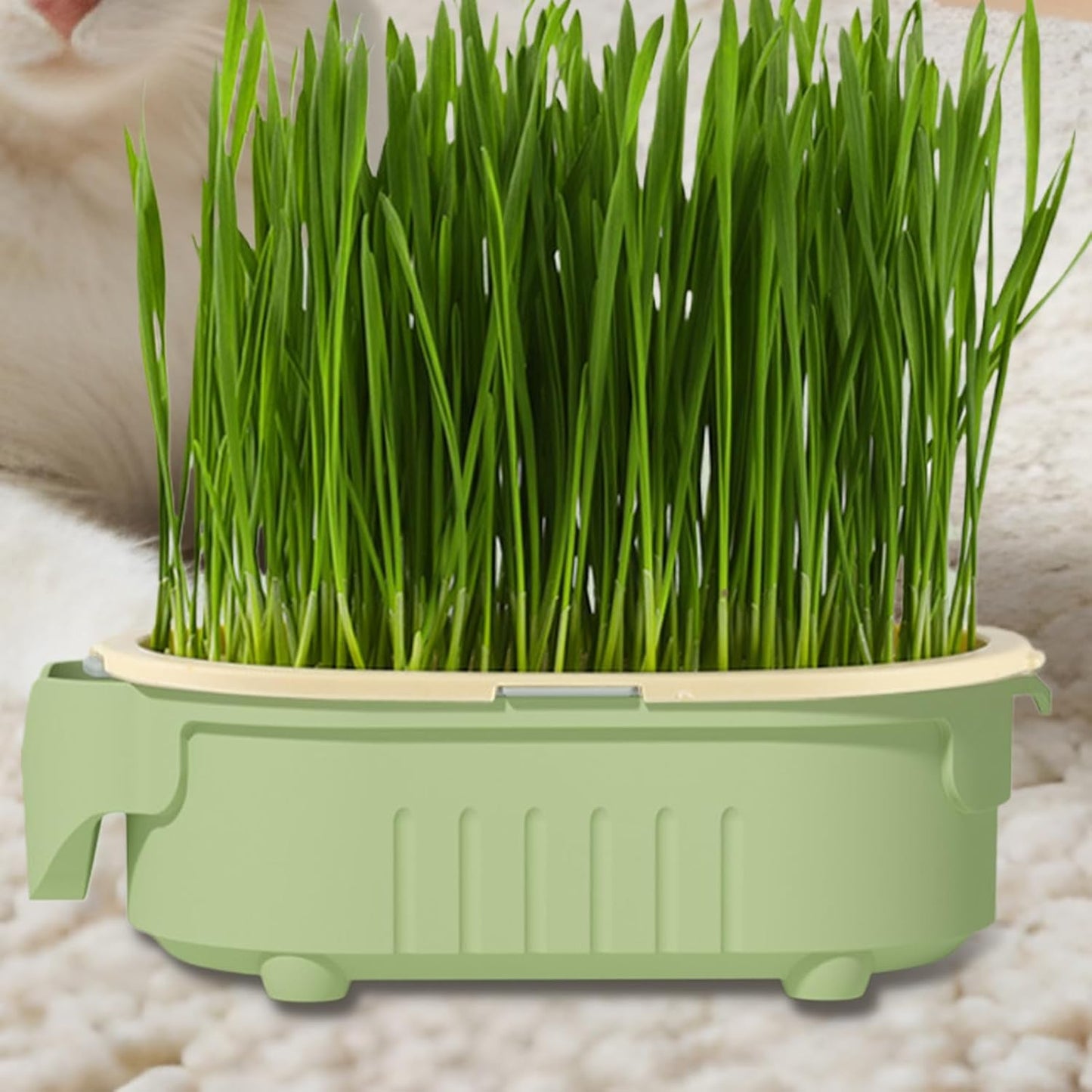 Hydroponic Cat Grass Pot | Indoor Cat Grass Hydroponic Planting Pot - Beginners-Friendly Novelty Pet Snacks Soil-Less Watering Solution for Garden, Balcony