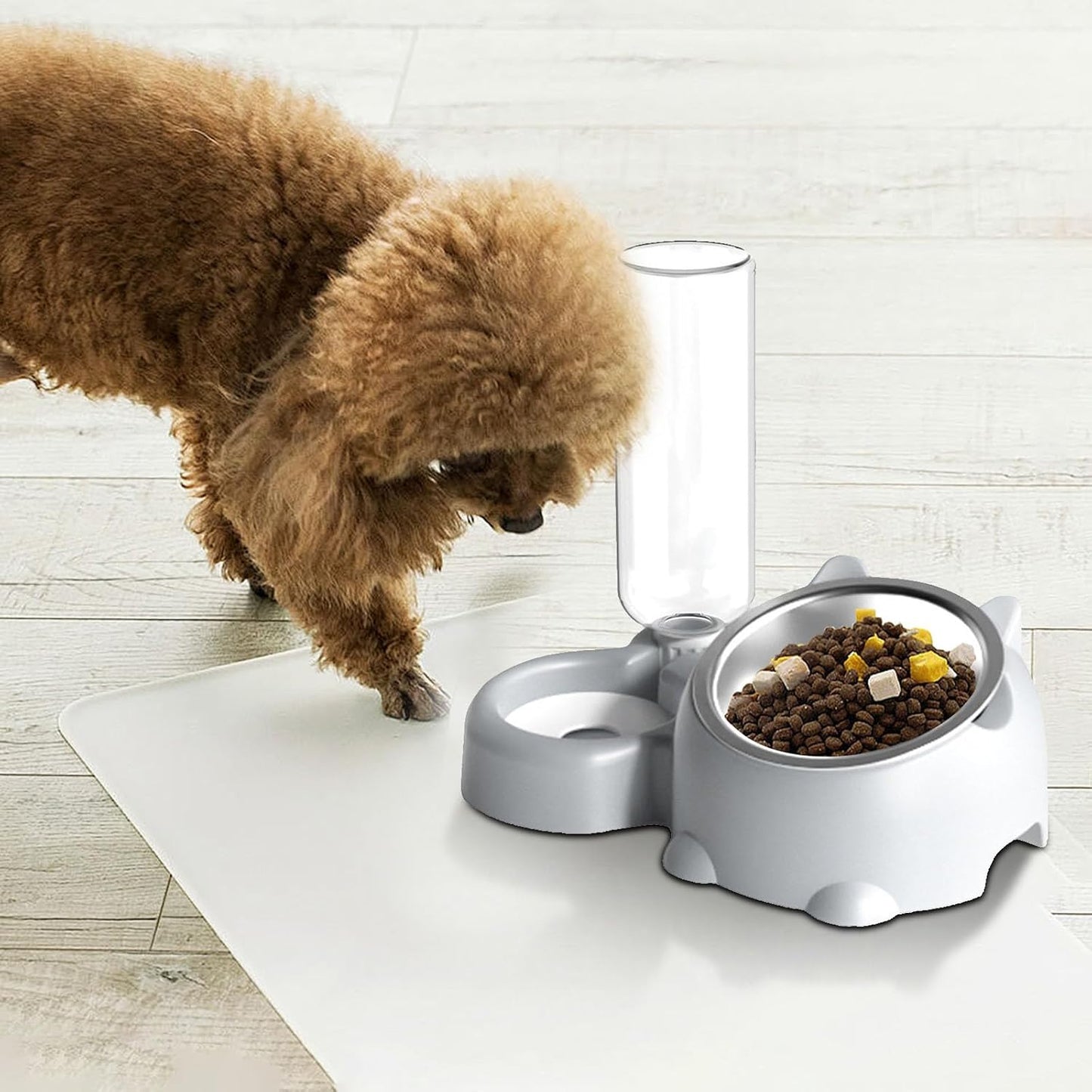 Double Dog Cat Bowls, Pets Water and Food Bowl Set, 15° Tilted Dishes with Water Dispenser, Pet Feeder Bowl Indoor for Kitten, Puppies, Small or Medium Size Dogs Cats (Grey)