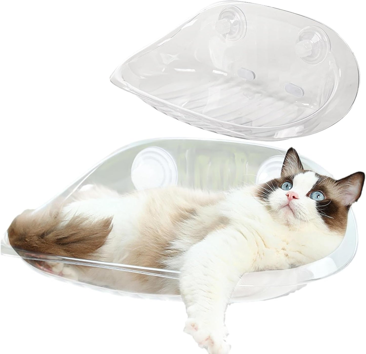 ウォールキャットベッドFurniture - クリアアクリルCatハンモック、FloatingかぶWallにTakeりPayけられたKittenのStopまり|SleepているCatのためのAttractionカップRest and SleepてDengる、IndoorのPlayびVenueのペットラウンジャーShed