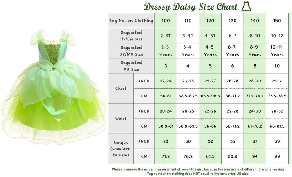 Dressy Daisy Green Fancy Fairy Halloween Costume Birthday Party Dress Up for Toddler Girls Size 2T to 10